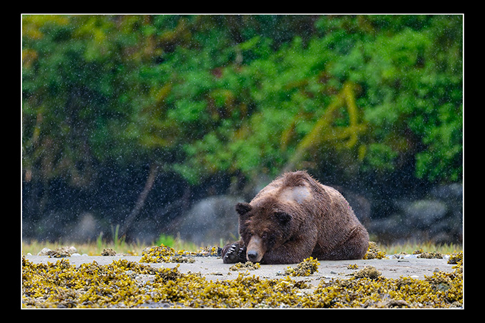 Waiting_out_the_rain